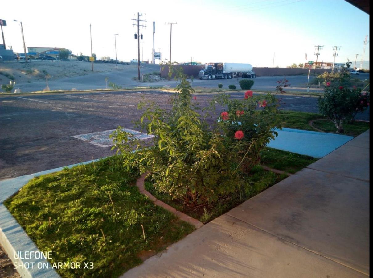 Willcox Extended Inn And Suites Exterior foto